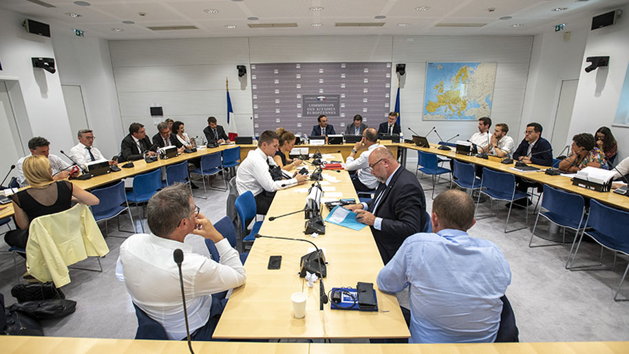 Délégation aux collectivités territoriales et à la décentralisation